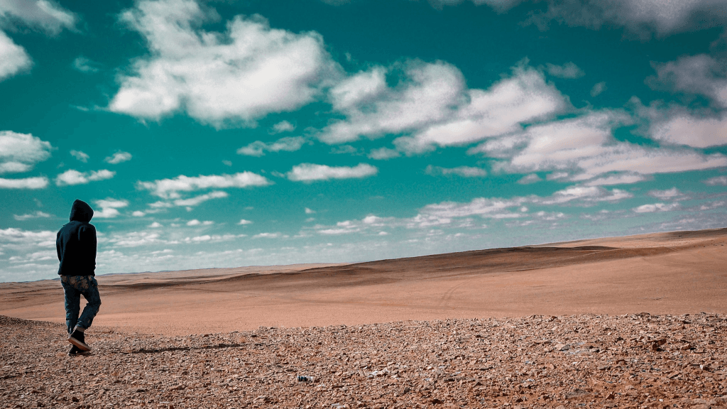 Connection in Mongolia: Gobi desert