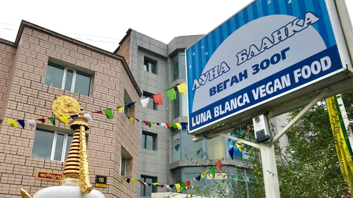 Luna Blanca Vegan Restaurant